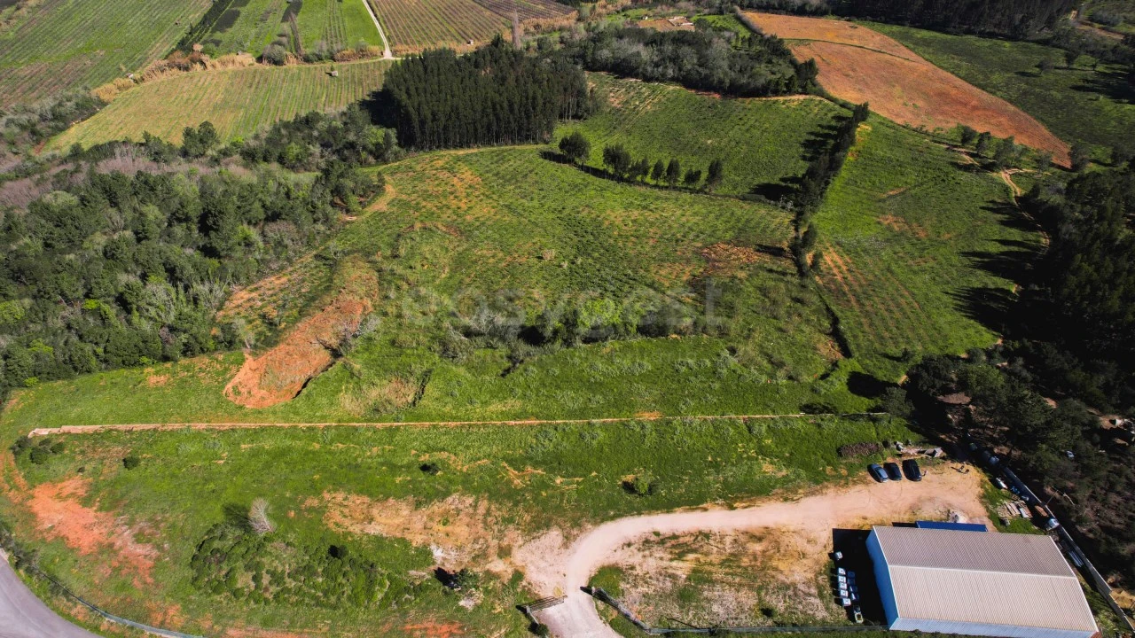 Armazém para Venda em Maiorga Foto 7