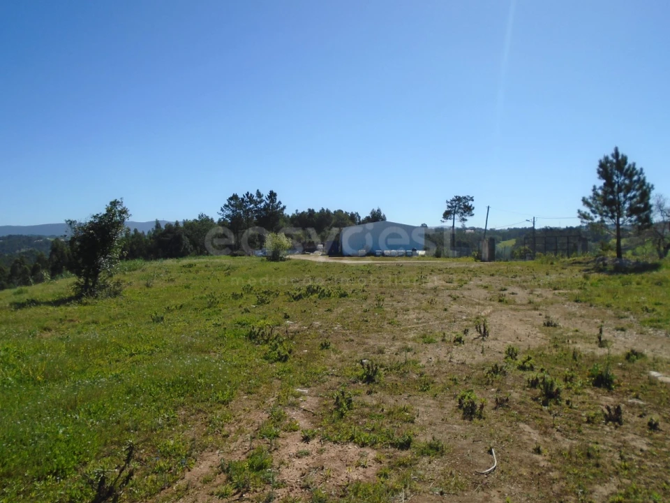 Armazém para Venda em Maiorga Foto 9