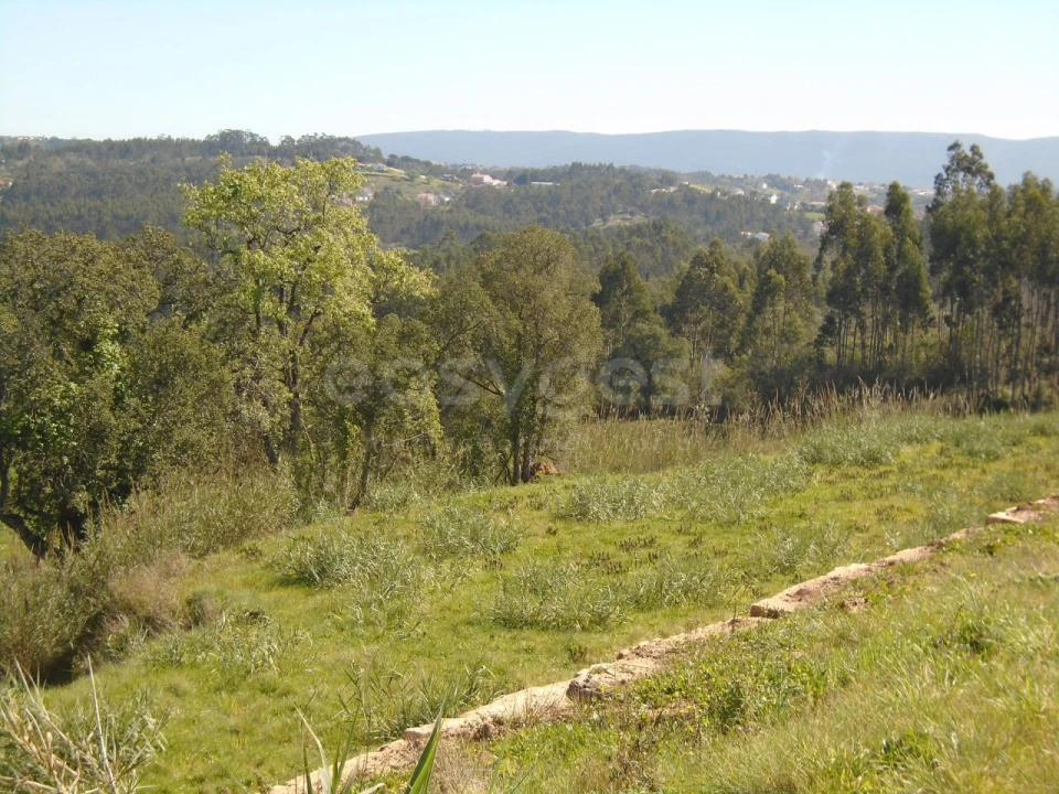 Armazém para Venda em Maiorga Foto 10