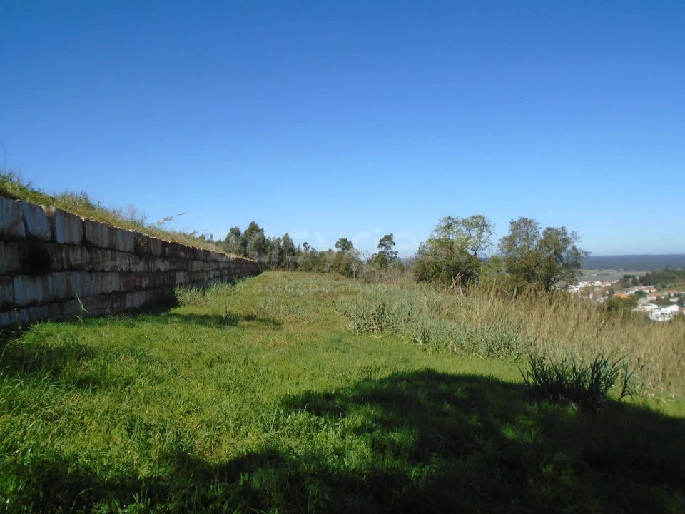 Armazém para Venda em Maiorga Foto 12