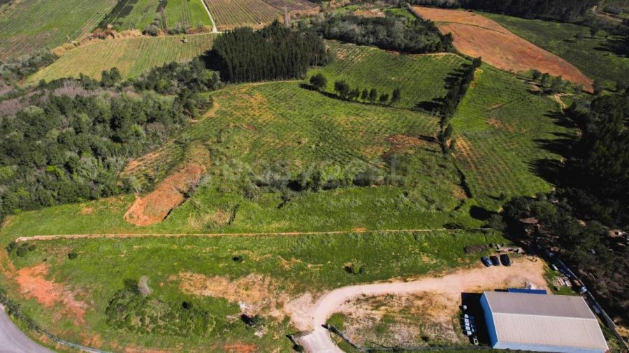 Armazém para Venda em Maiorga Foto 7