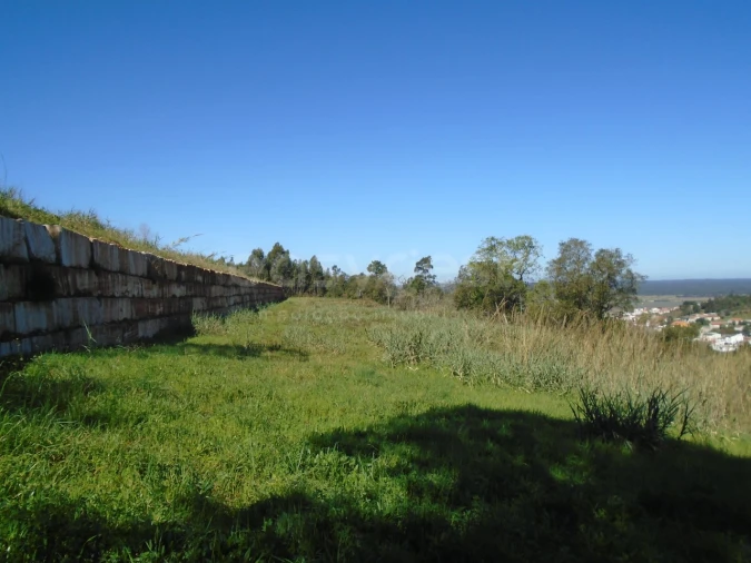 Armazém para Venda em Maiorga Foto 12