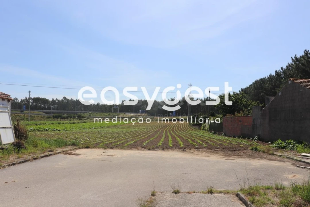 Terreno Agricola ou Rústico para Venda em Louriçal Foto 3