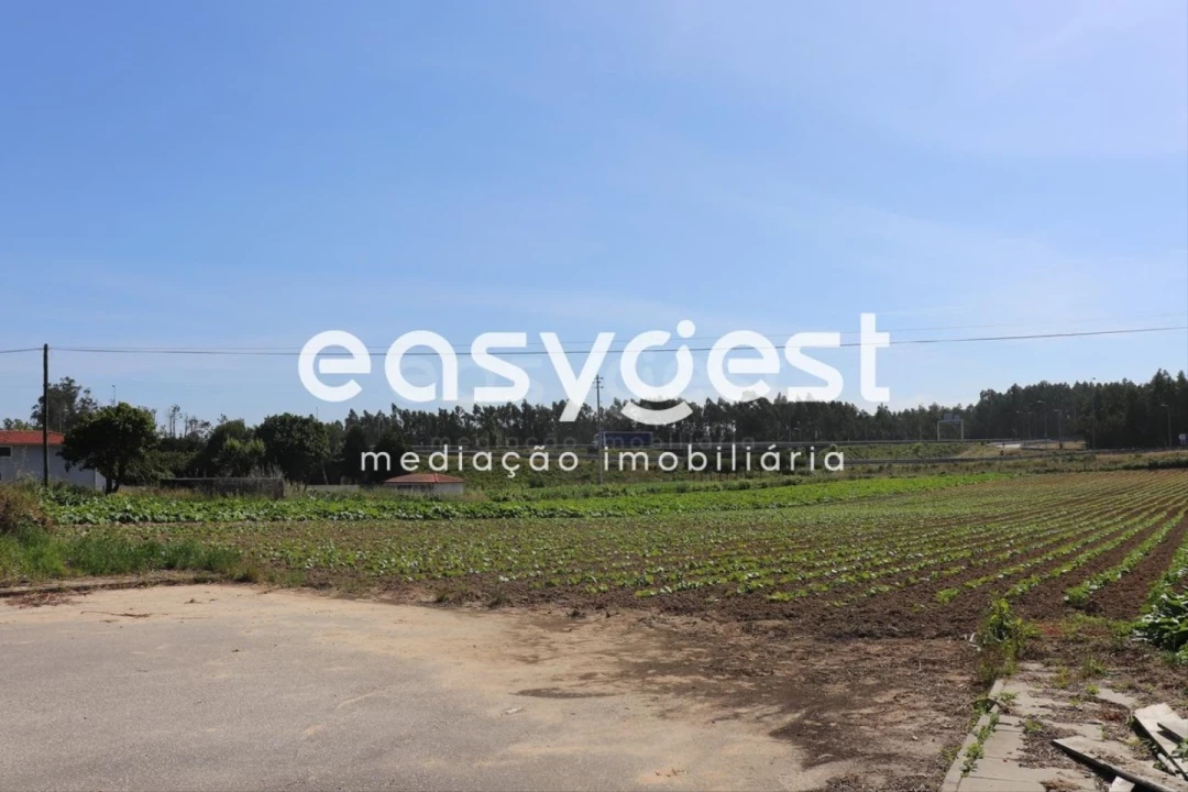 Terreno Agricola ou Rústico para Venda em Louriçal Foto 4