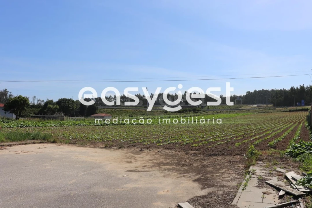 Terreno Agricola ou Rústico para Venda em Louriçal Foto 6