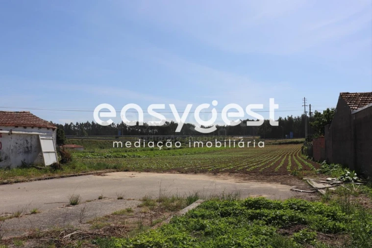 Terreno Agricola ou Rústico para Venda em Louriçal Foto 2