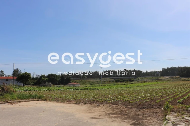 Terreno Agricola ou Rústico para Venda em Louriçal Foto 5