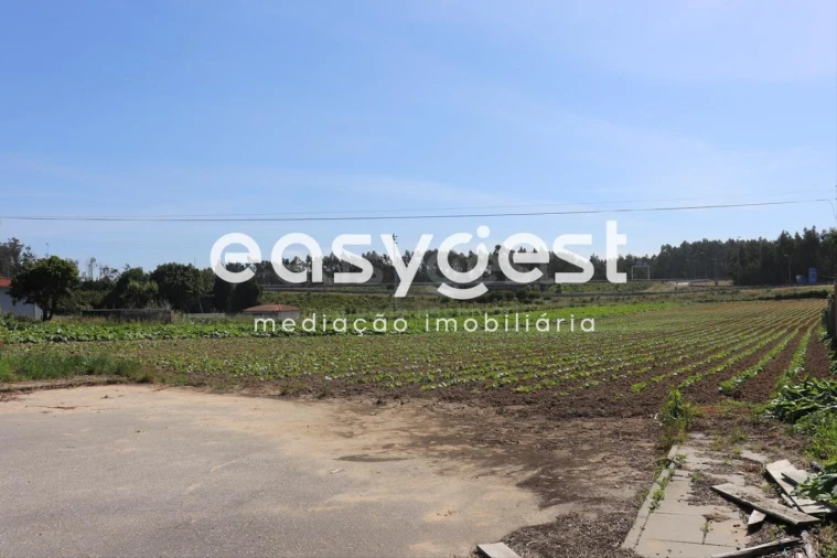 Terreno Agricola ou Rústico para Venda em Louriçal Foto 6