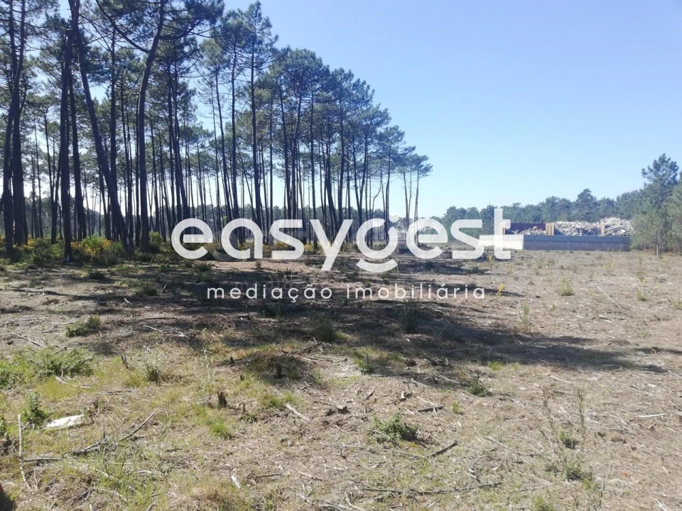 Terreno para Venda em Moita Foto 1