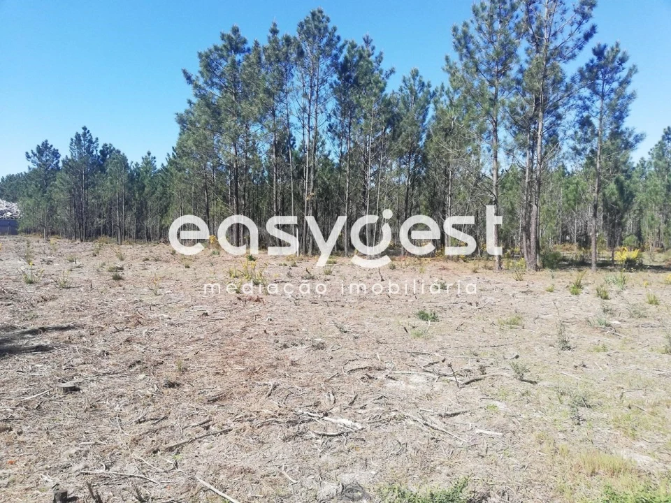 Terreno para Venda em Moita Foto 2