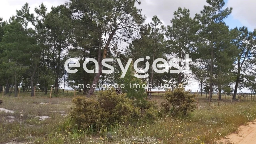 Terreno Agricola ou Rústico para Venda em Palmela Foto 5