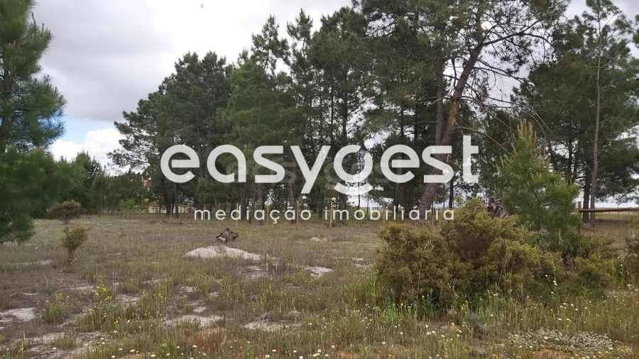 Terreno Agricola ou Rústico para Venda em Palmela Foto 6