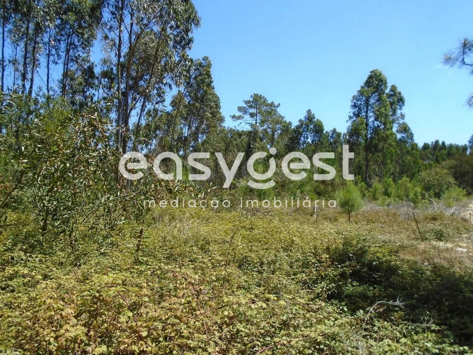 Terreno para Venda em Pataias e Martingança Foto 9