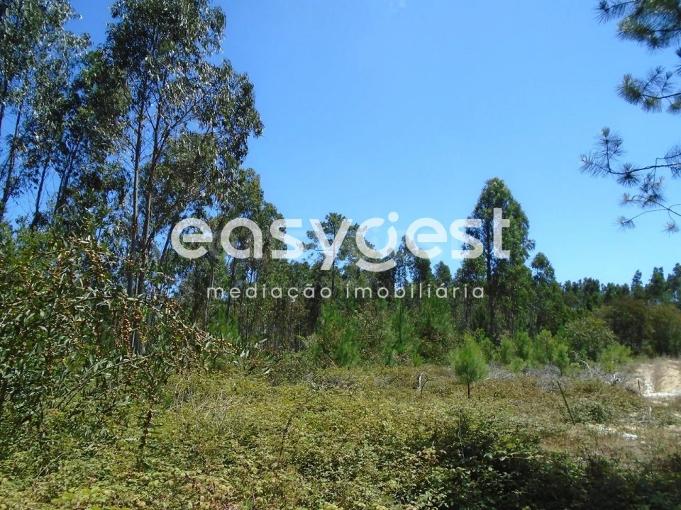 Terreno para Venda em Pataias e Martingança Foto 10