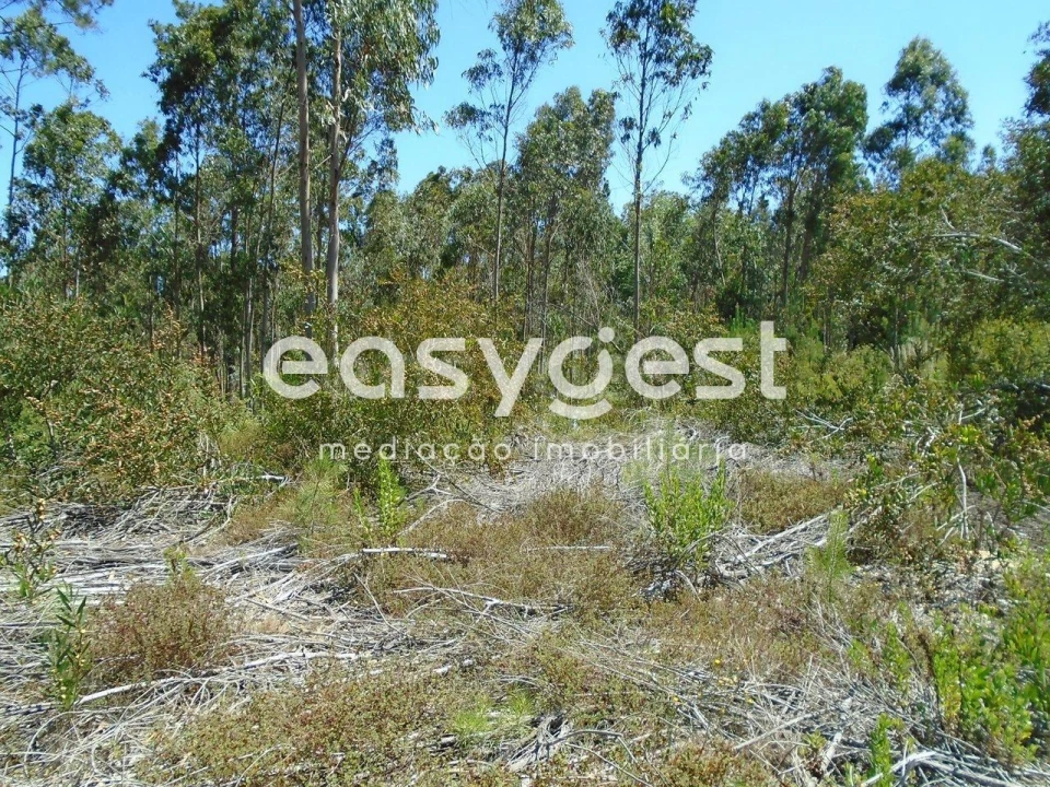Terreno para Venda em Pataias e Martingança Foto 11