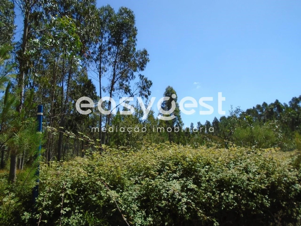 Terreno para Venda em Pataias e Martingança Foto 15