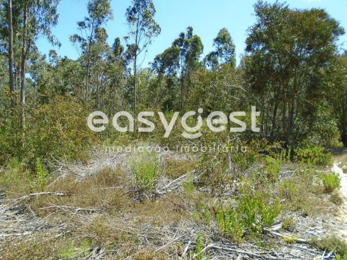 Terreno para Venda em Pataias e Martingança Foto 7