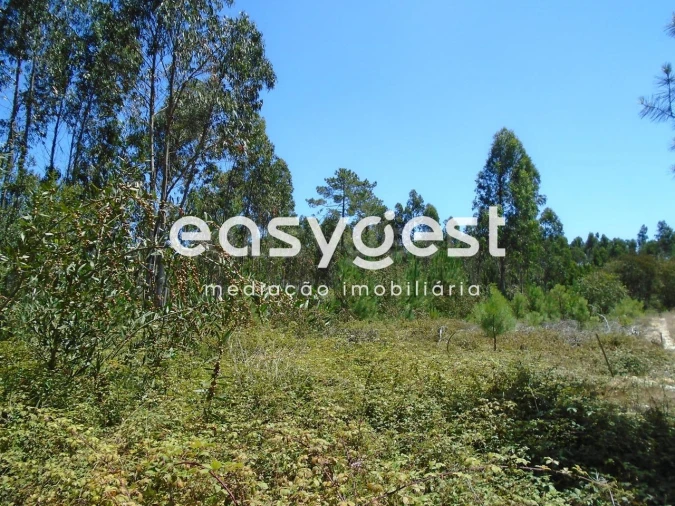 Terreno para Venda em Pataias e Martingança Foto 1