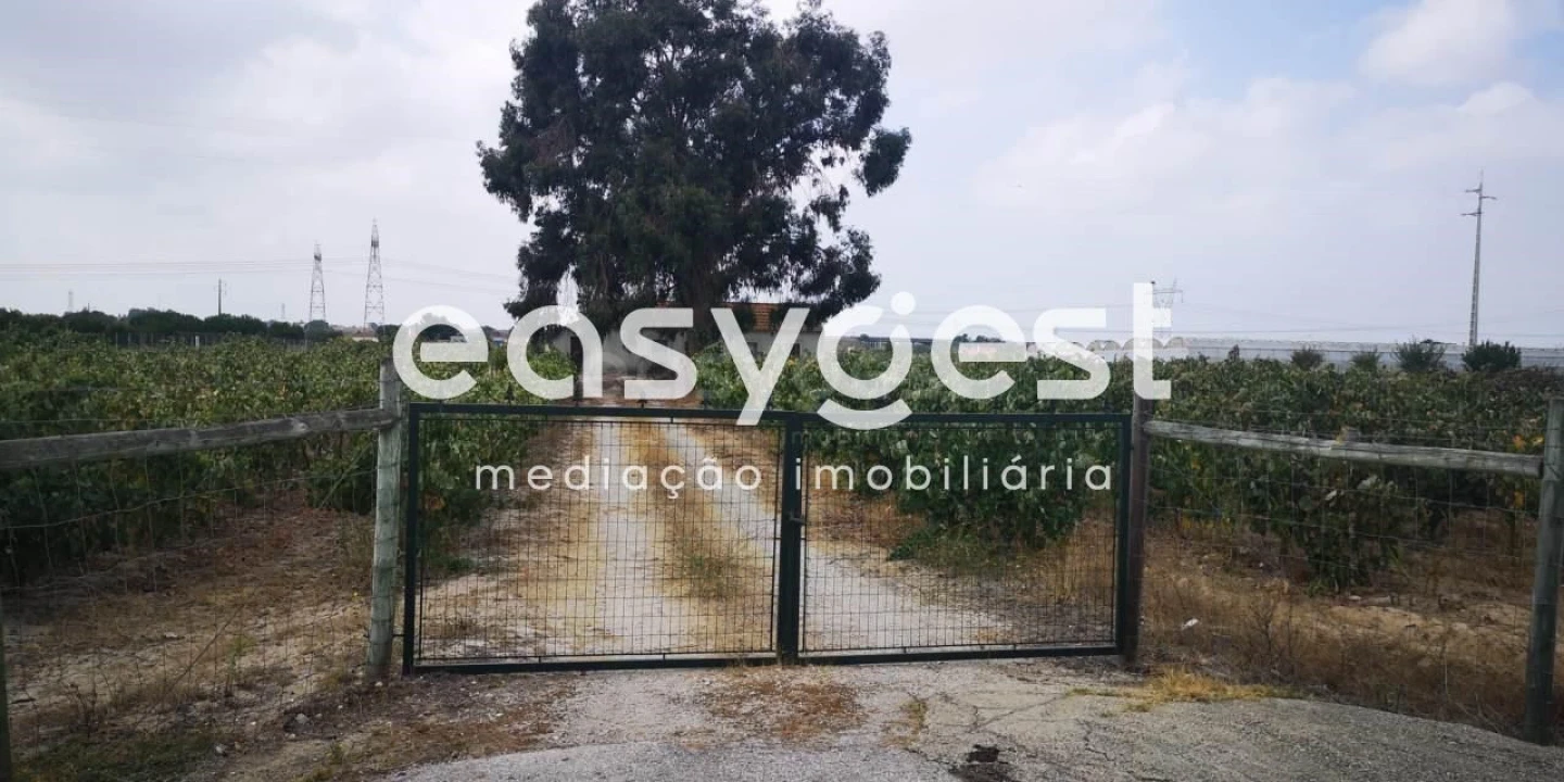 Terreno Misto para Venda em Pinhal Novo Foto 3