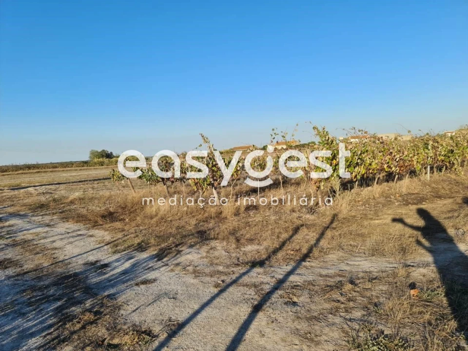 Terreno Misto para Venda em Pinhal Novo Foto 6