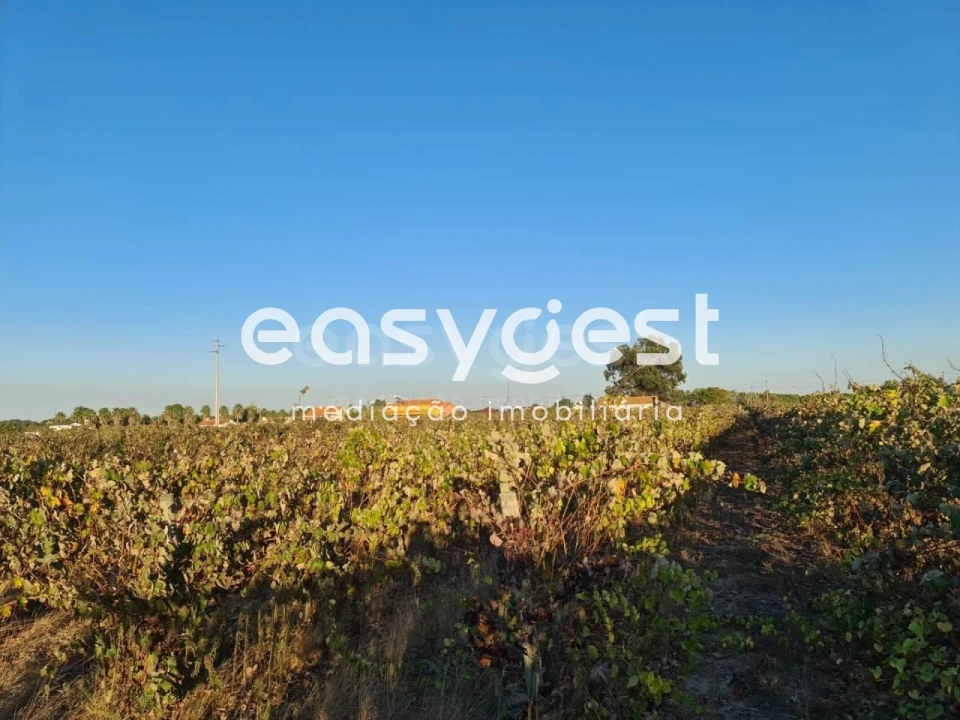 Terreno Misto para Venda em Pinhal Novo Foto 7