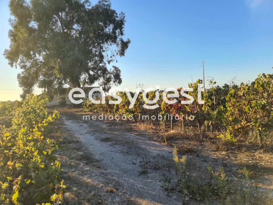 Terreno Misto para Venda em Pinhal Novo Foto 8