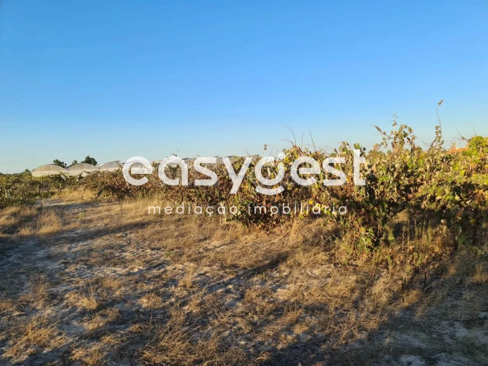 Terreno Misto para Venda em Pinhal Novo Foto 9