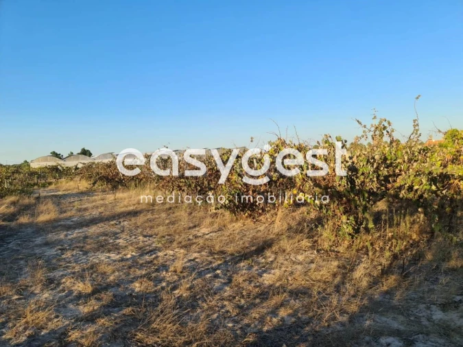 Terreno Misto para Venda em Pinhal Novo Foto 9