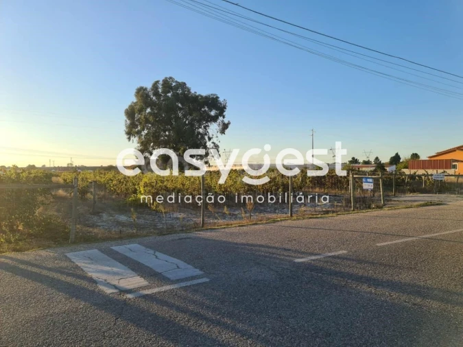 Terreno Misto para Venda em Pinhal Novo Foto 10