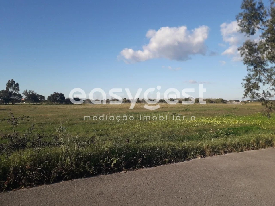 Terreno para Venda em Pegões Foto 14