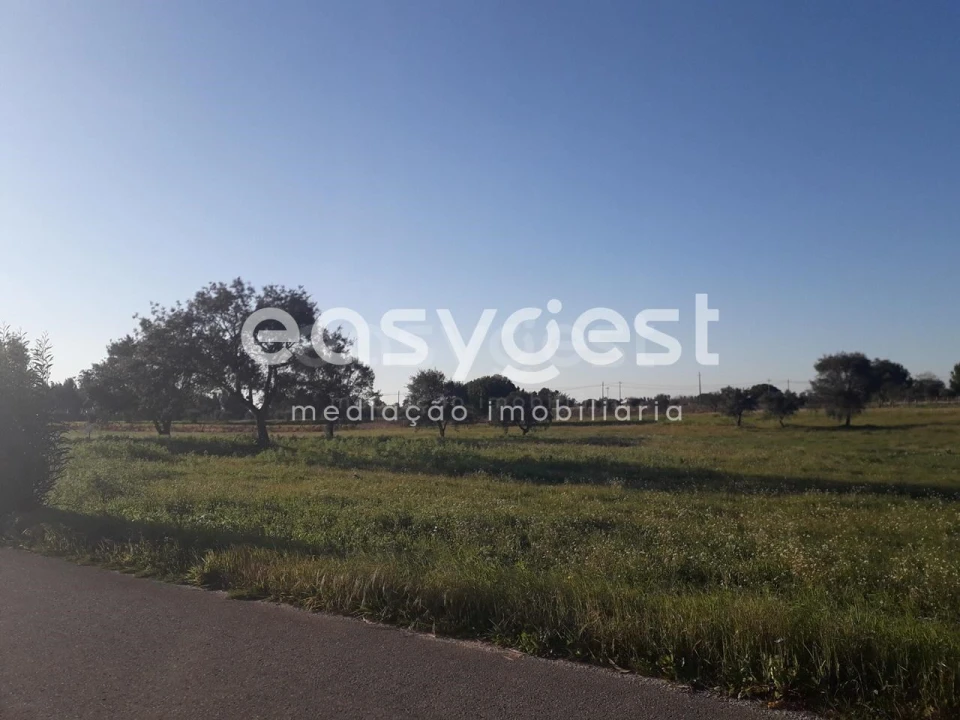 Terreno para Venda em Pegões Foto 16