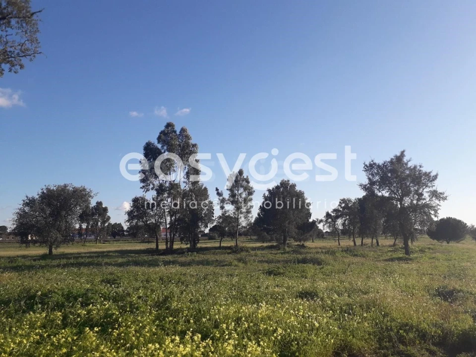 Terreno para Venda em Pegões Foto 19