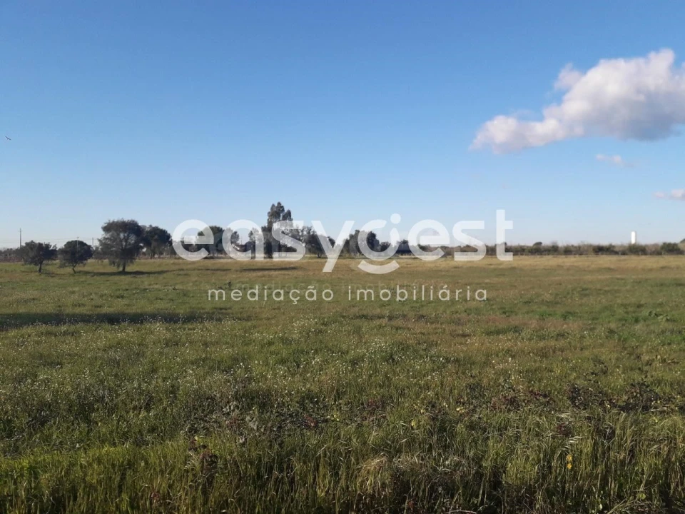 Terreno para Venda em Pegões Foto 20