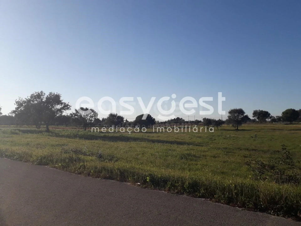 Terreno para Venda em Pegões Foto 22