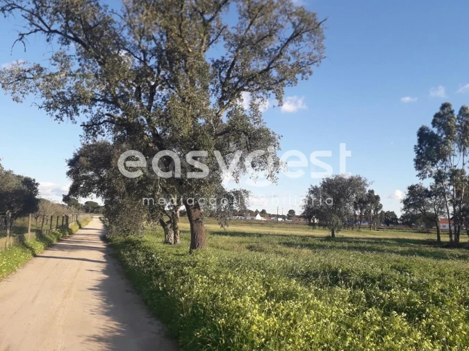 Terreno para Venda em Pegões Foto 2