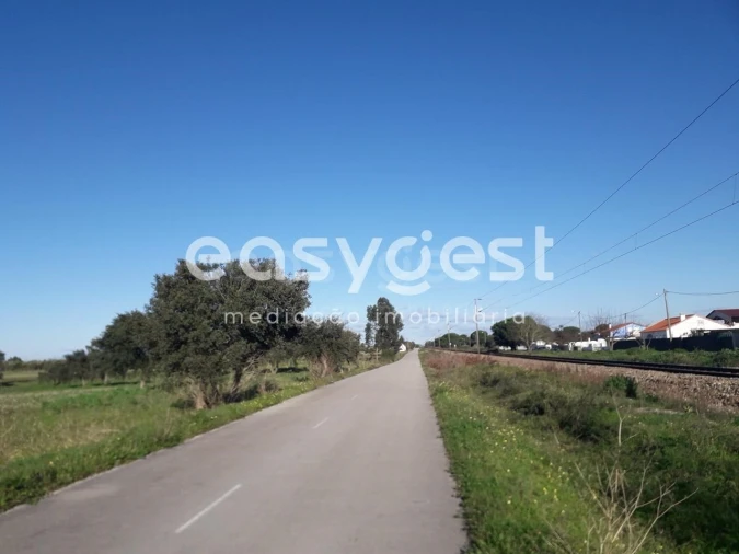 Terreno para Venda em Pegões Foto 4