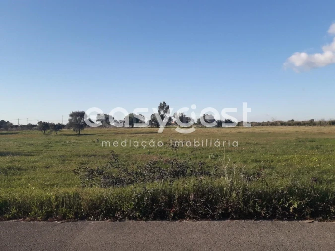 Terreno para Venda em Pegões Foto 15