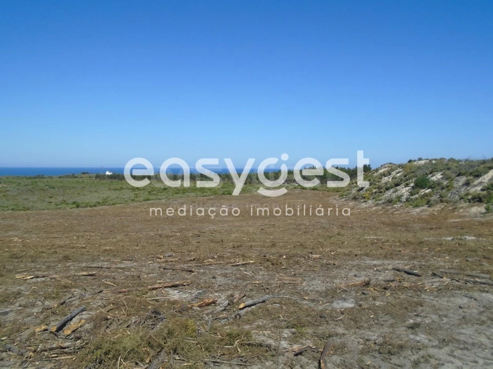 Terreno para Venda em Pataias e Martingança Foto 14