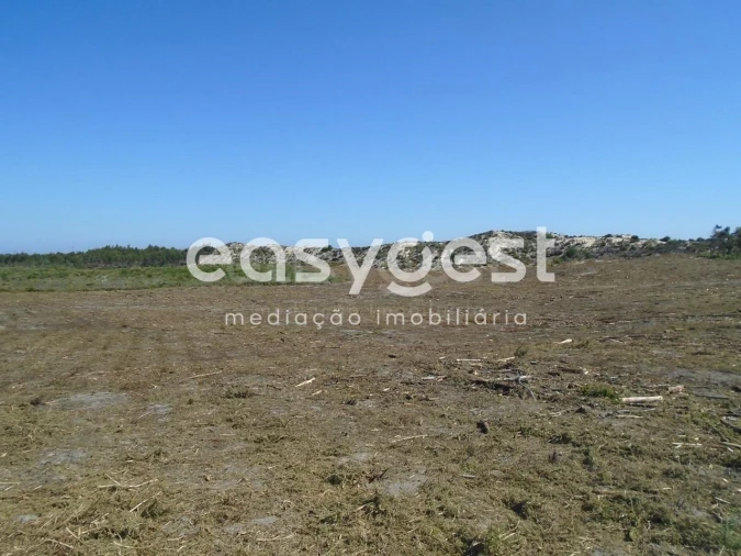 Terreno para Venda em Pataias e Martingança Foto 5