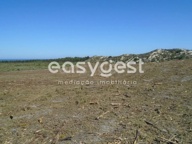 Terreno para Venda em Pataias e Martingança Foto 11