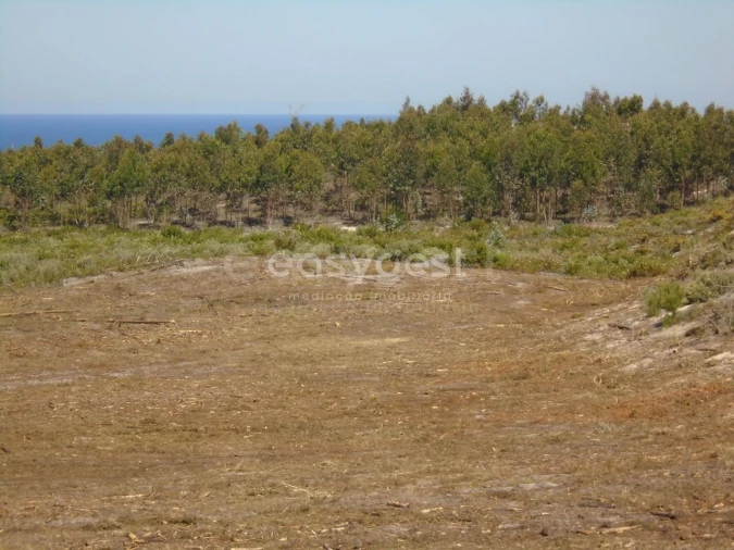 Terreno para Venda em Pataias e Martingança Foto 20