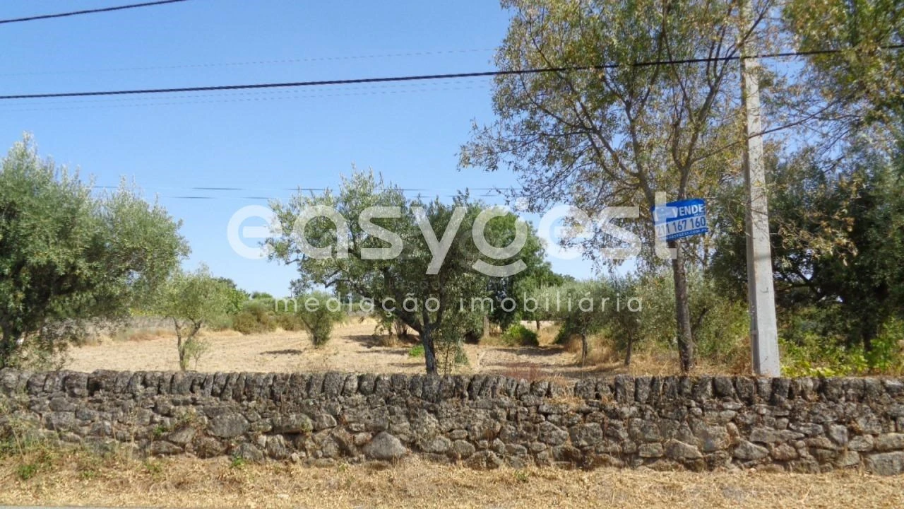 Terreno Agricola ou Rústico para Venda em São Miguel de Acha Foto 1
