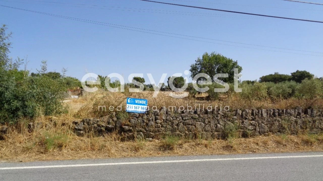 Terreno Agricola ou Rústico para Venda em São Miguel de Acha Foto 2