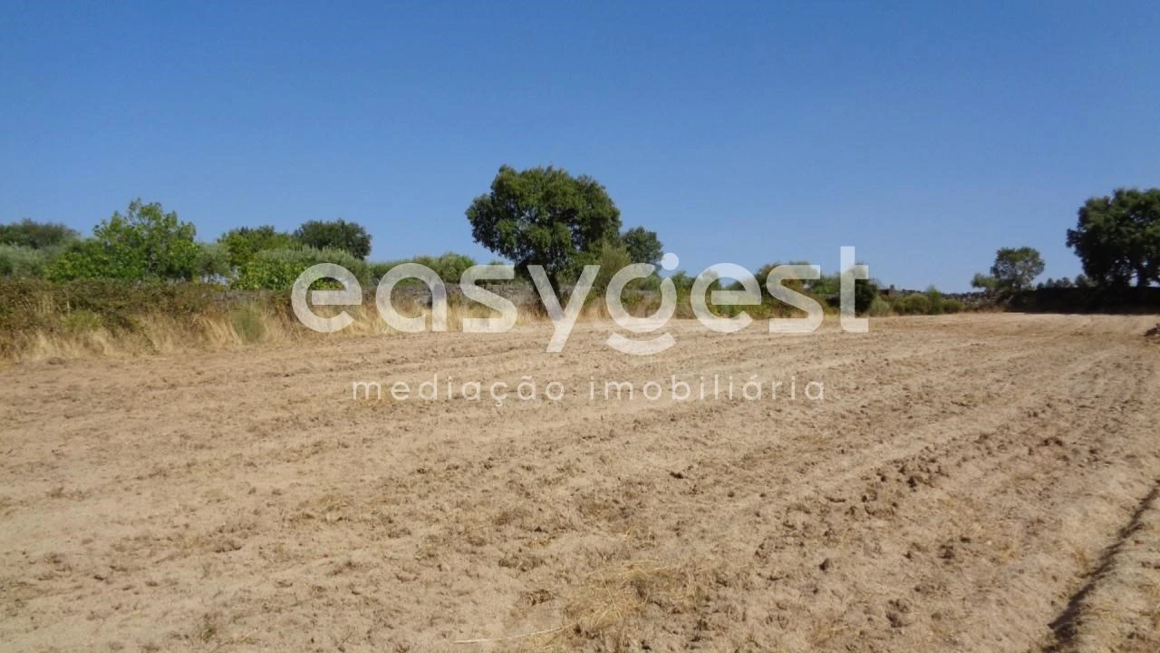 Terreno Agricola ou Rústico para Venda em São Miguel de Acha Foto 3