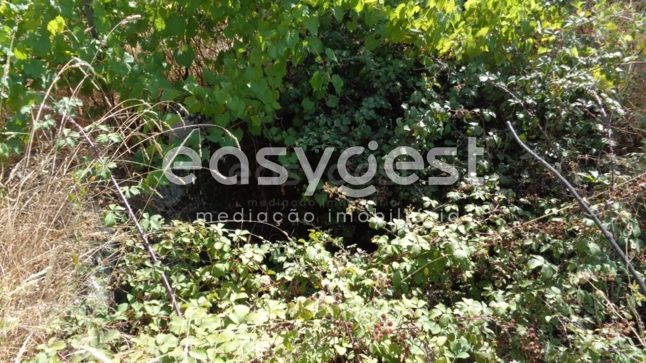 Terreno Agricola ou Rústico para Venda em São Miguel de Acha Foto 6