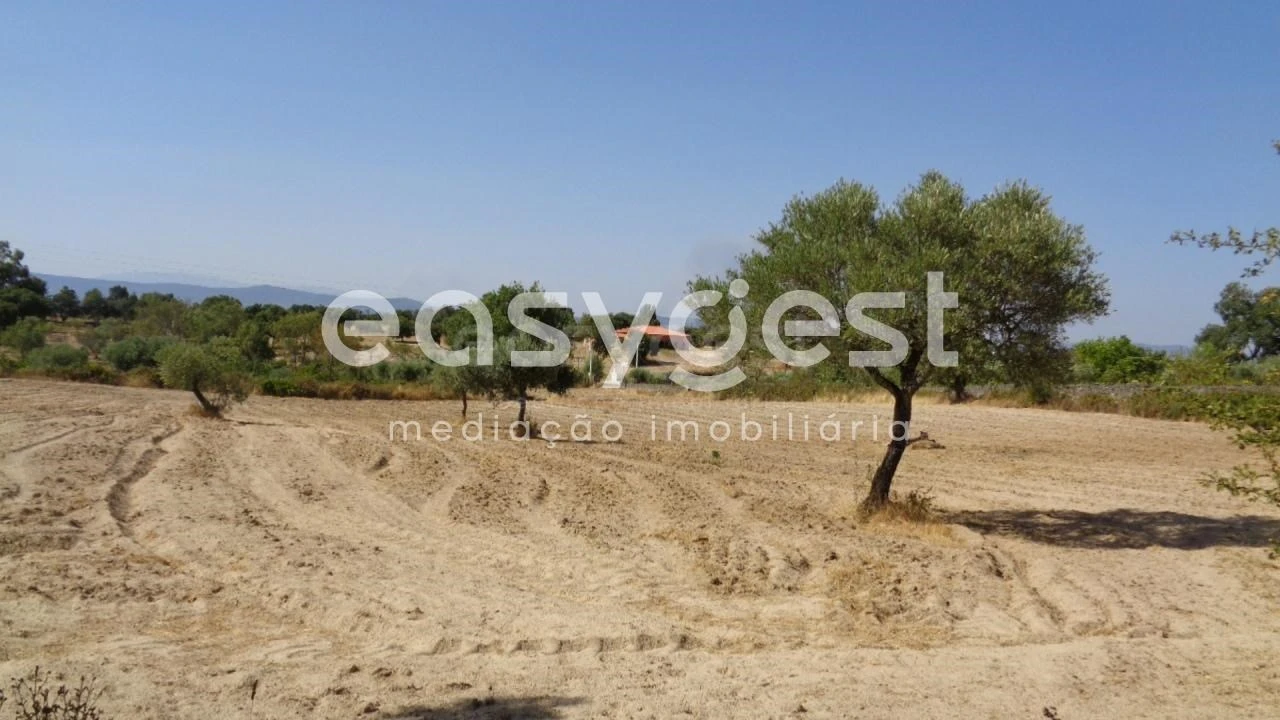 Terreno Agricola ou Rústico para Venda em São Miguel de Acha Foto 10
