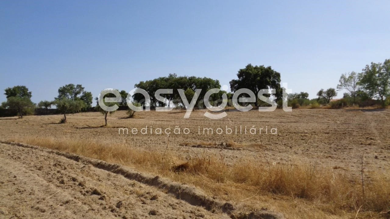 Terreno Agricola ou Rústico para Venda em São Miguel de Acha Foto 11