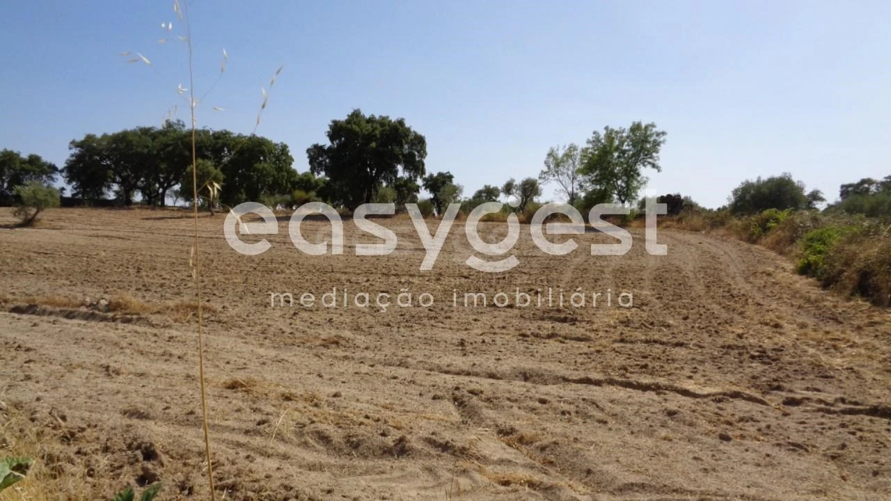 Terreno Agricola ou Rústico para Venda em São Miguel de Acha Foto 12