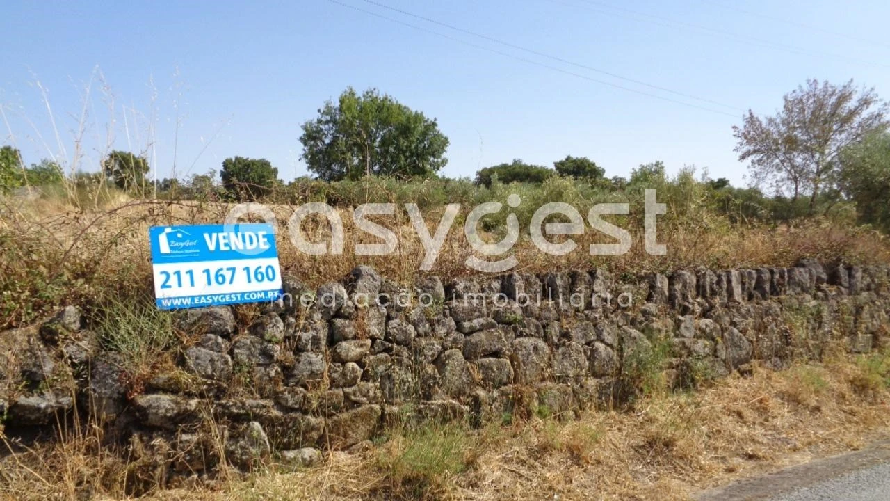 Terreno Agricola ou Rústico para Venda em São Miguel de Acha Foto 13