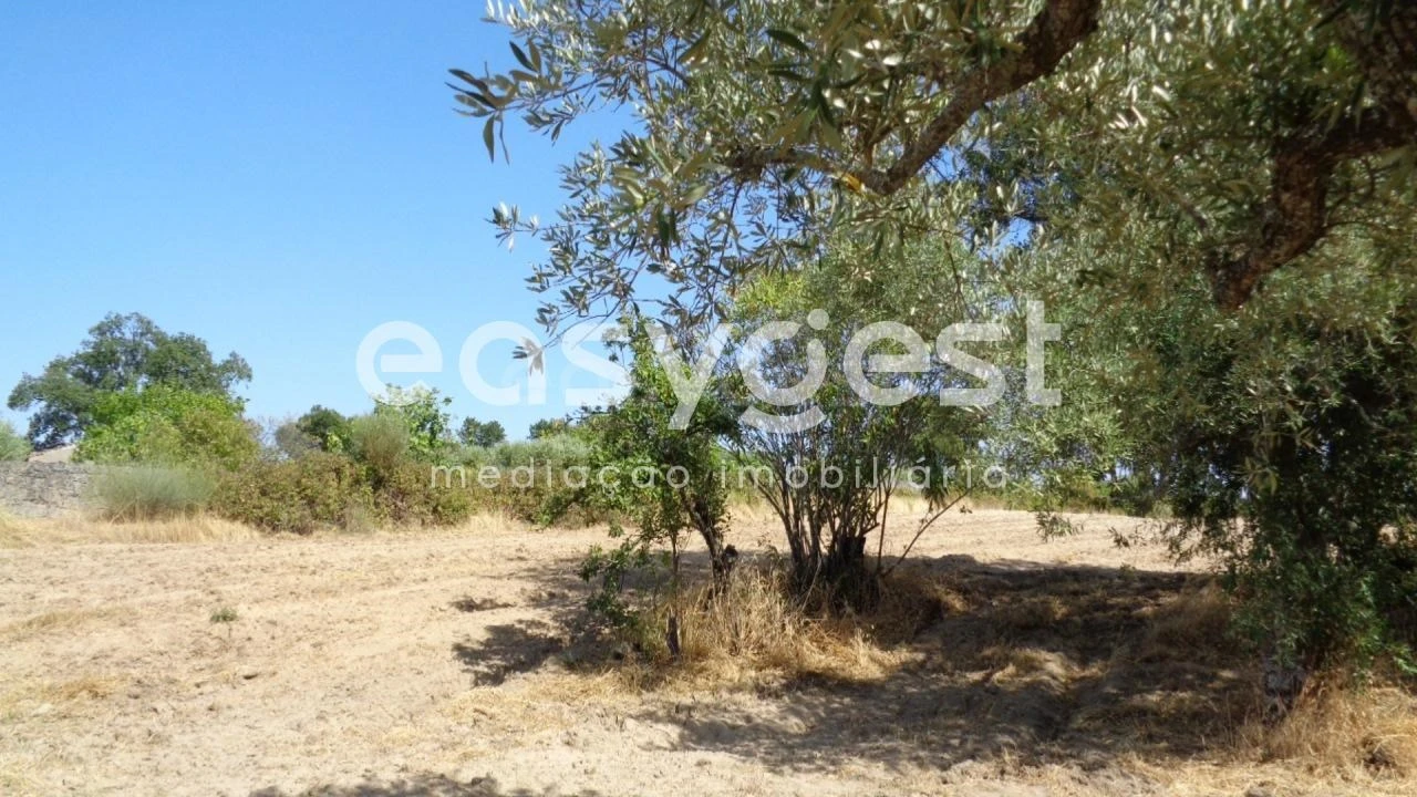 Terreno Agricola ou Rústico para Venda em São Miguel de Acha Foto 18